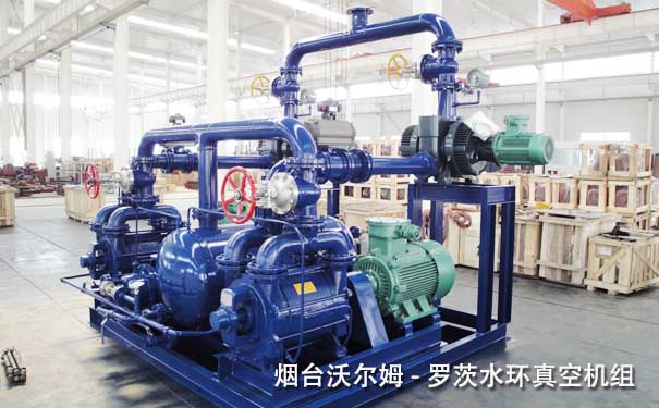 羅茨水環真空機組-山東沃爾姆羅茨真空機組廠家